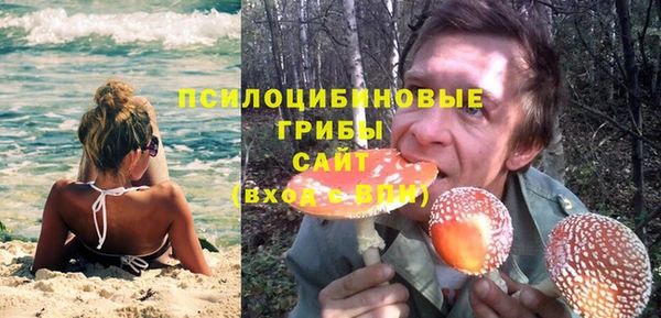 марки nbome Богородицк