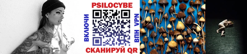 наркота  Горнозаводск  Псилоцибиновые грибы Psilocybine cubensis 